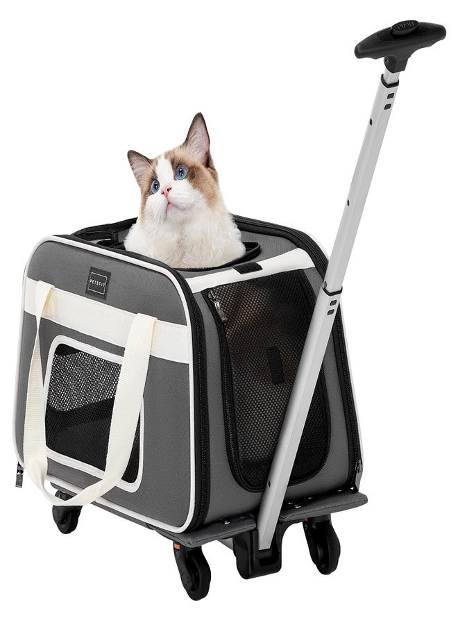 بتس فيت حاملة قطط PETSFIT معتمدة من شركات الطيران، مزودة بعجلات، مصممة للكلاب والقطط الصغيرة، مع حبل أمان قابل للتعديل وعجلات قابلة للإزالة. - Image 1